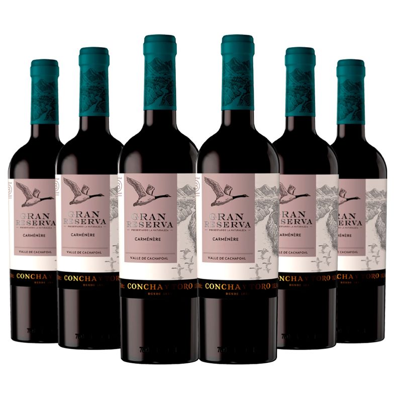 CONCHA Y TORO - 6 vinos Concha y Toro Serie Riberas CA
