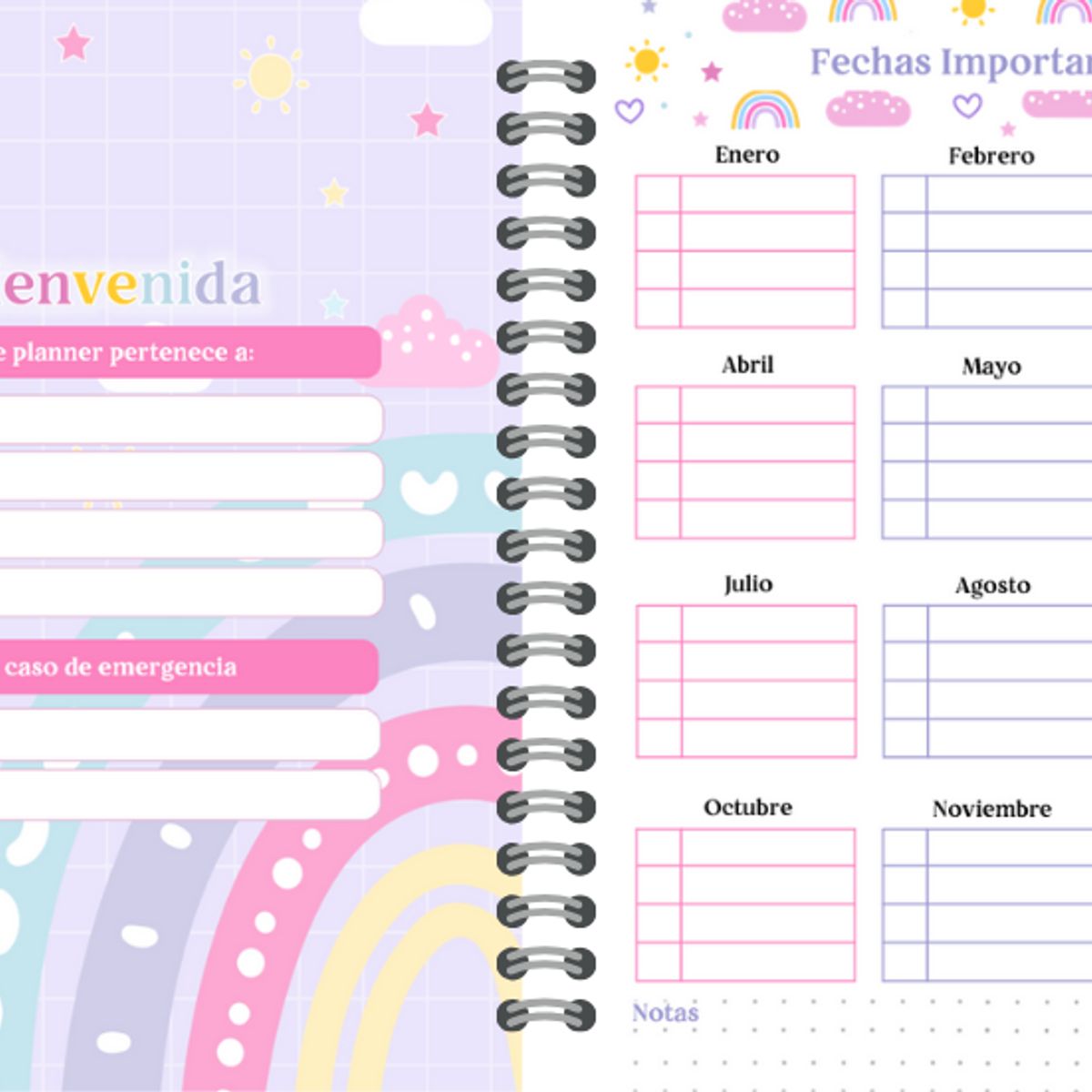 ELAB PROPIA - Agenda Planificación Arcoirís