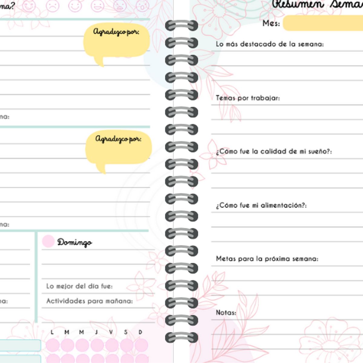 ELAB PROPIA - Agenda Bienestar Mujer