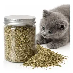 GENERICO - X8 Hierba Gatera Gatos Snack Seco Entretenimiento Mascota 50g