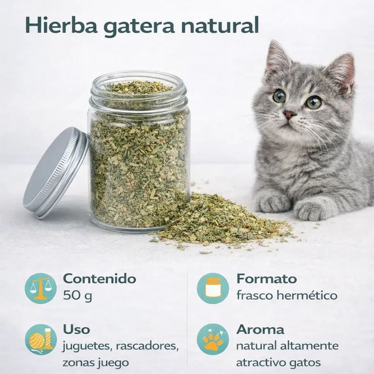 GENERICO - Hierba Gatera Para Gatos Snack Gatera Seca Para Gato 50g
