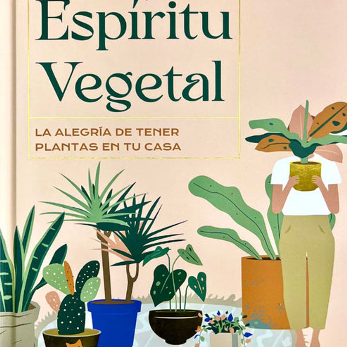 CONTRAPUNTO - ESPIRITU VEGETAL. La alegria de tener plantas en tu casa
