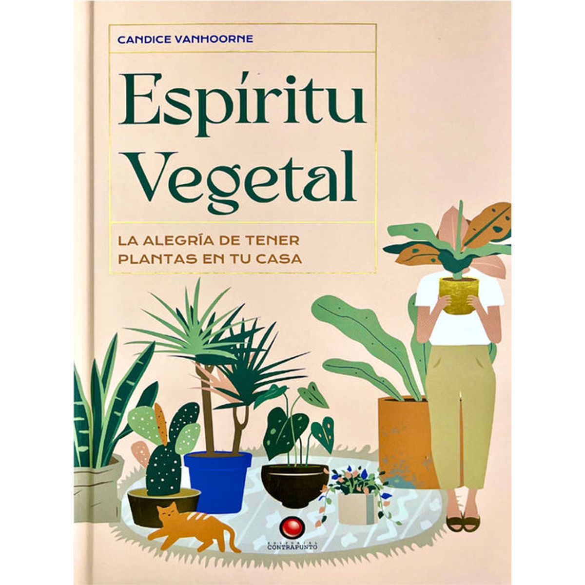 CONTRAPUNTO - ESPIRITU VEGETAL. La alegria de tener plantas en tu casa