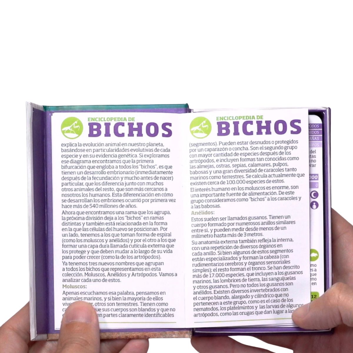 EDITORIAL CONTRAPUNTO - Enciclopedia de Bichos