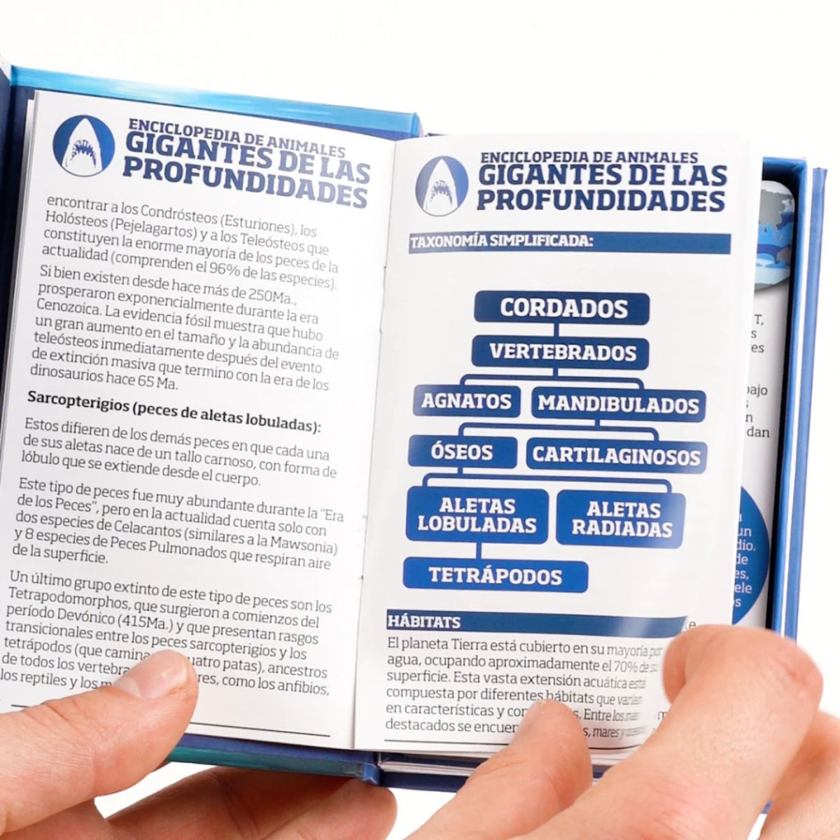 EDITORIAL CONTRAPUNTO - Enciclopedia de animales. Gigantes de las profundidades