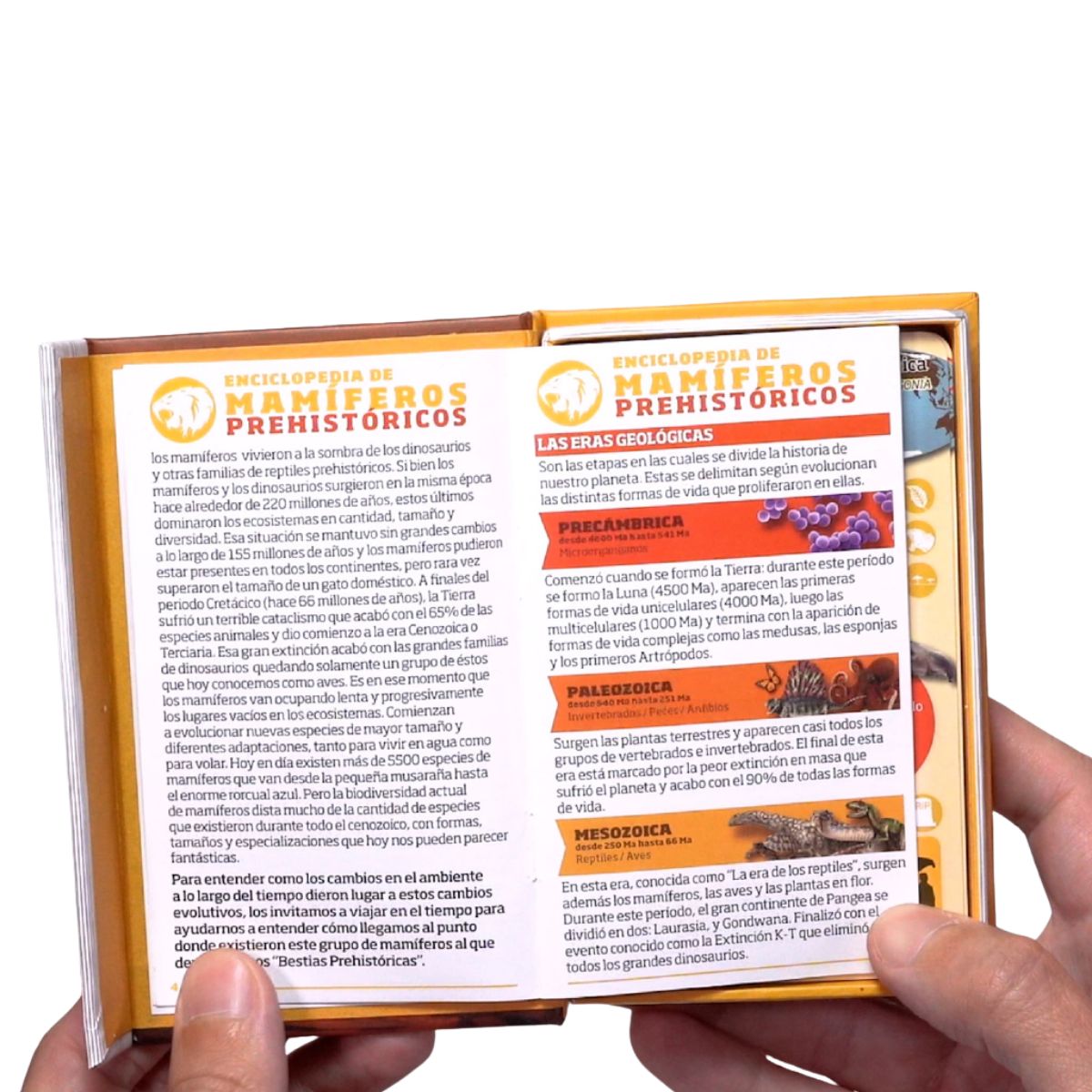 EDITORIAL CONTRAPUNTO - Enciclopedia de Mamíferos Prehistóricos