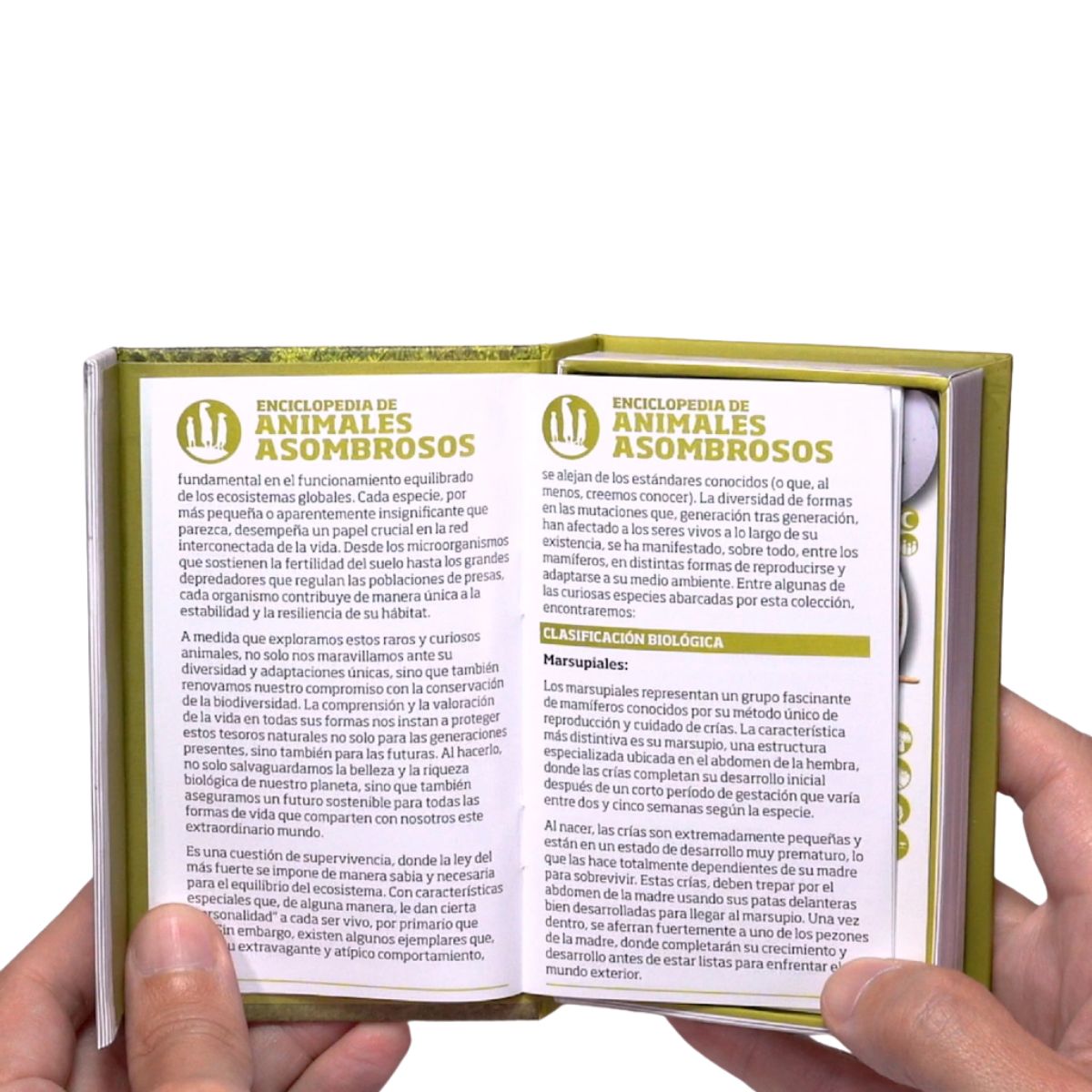 EDITORIAL CONTRAPUNTO - Enciclopedia de Animales Asombrosos