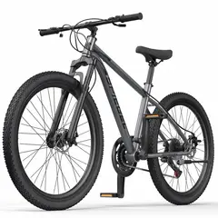 TEN SERIES - Bicicleta Mountain Bike Spiegel Aro 29 Gray