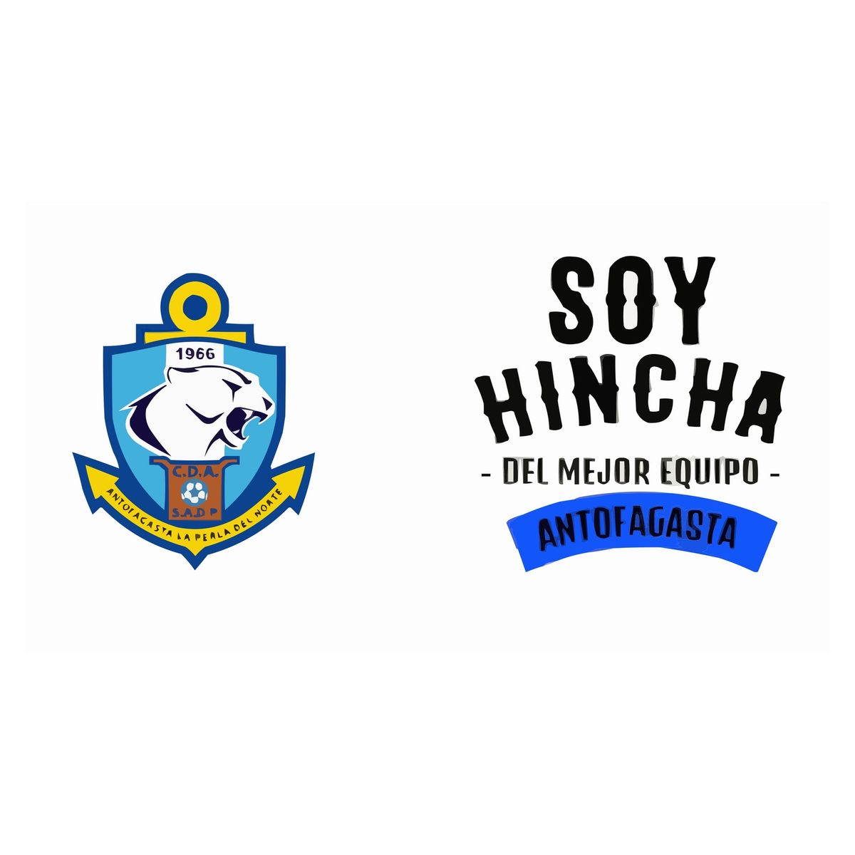 GENERICO - Pack Vaso Schopero Antofagasta