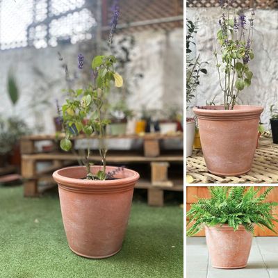 Imagen 2 del producto Macetero Grande Kiri 36 Coral