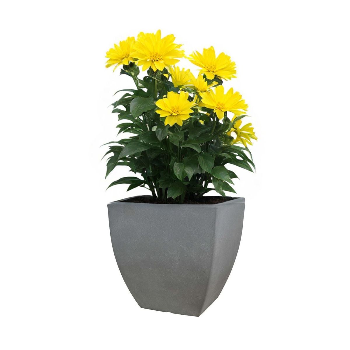POTTERY - Macetero Grande Modena 40 Gris