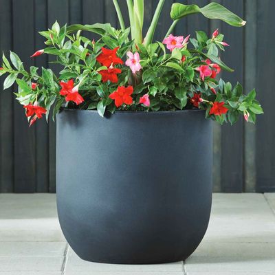 Imagen 2 del producto Macetero Grande Muna 53 Grafito