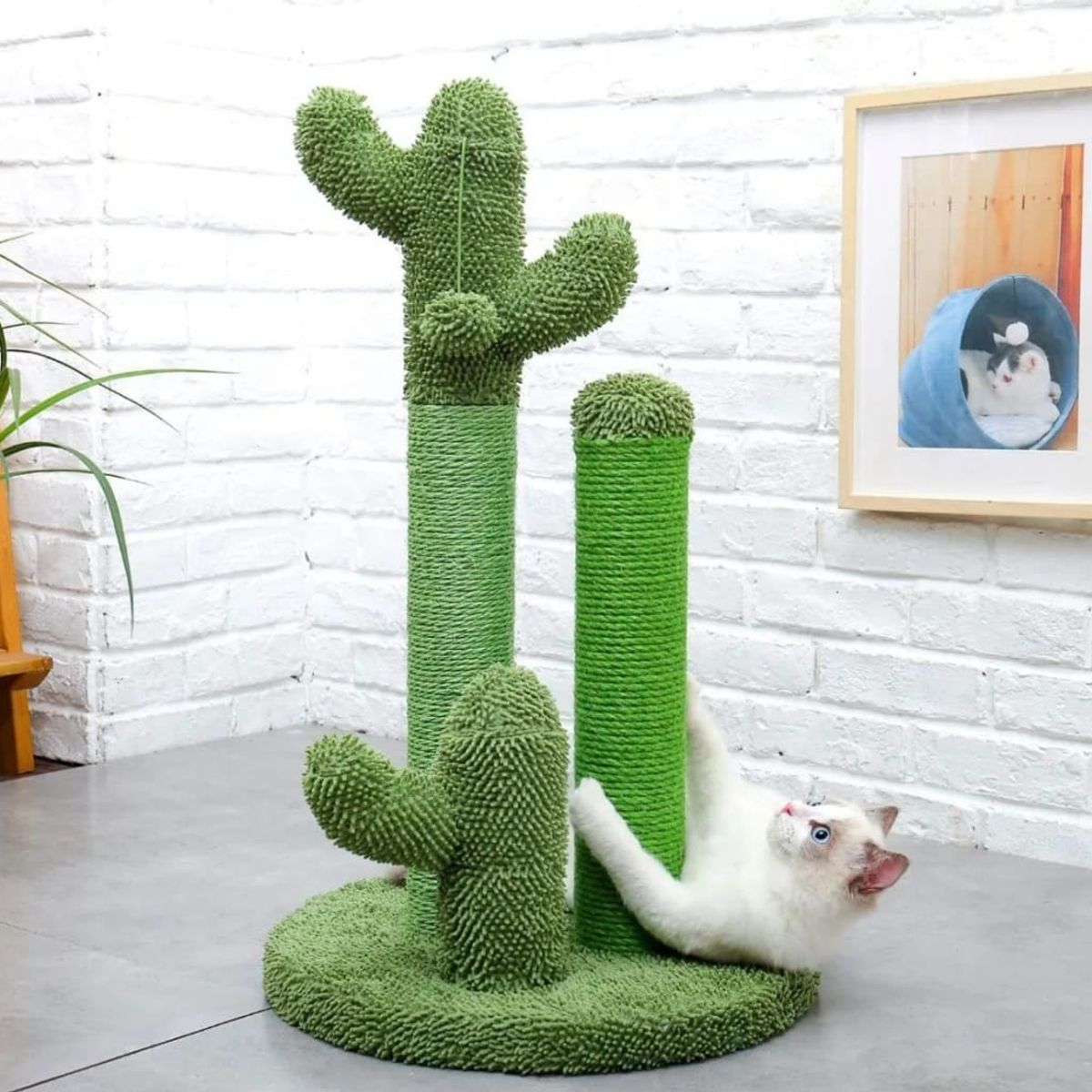 GENERICO - Rascador Cactus Para Gatos - Divertido Juguete para gatos