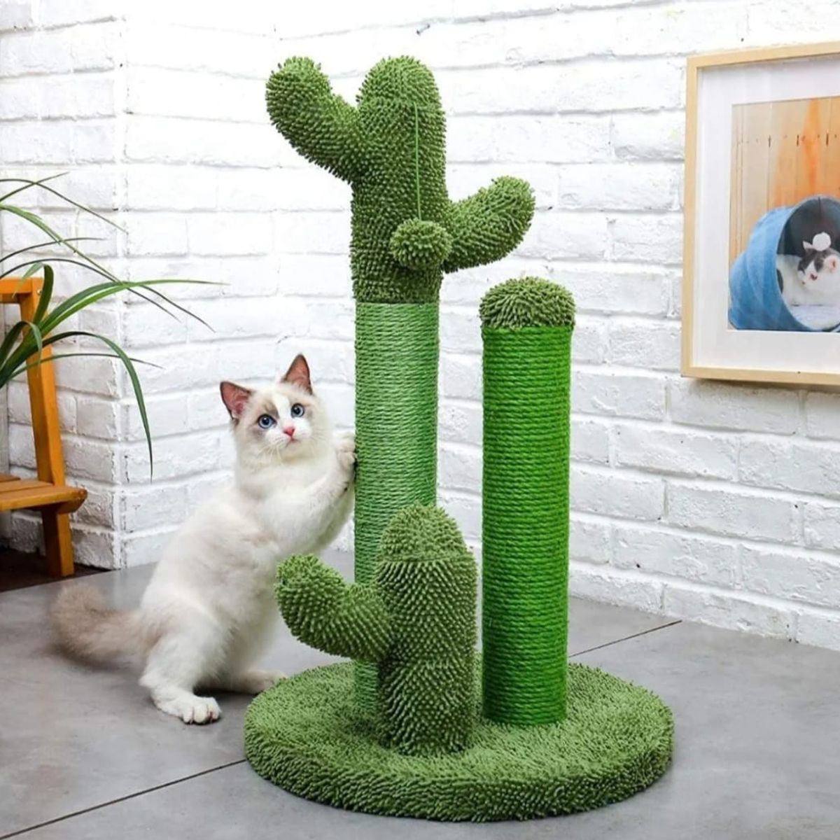 GENERICO - Rascador Cactus Para Gatos - Divertido Juguete para gatos