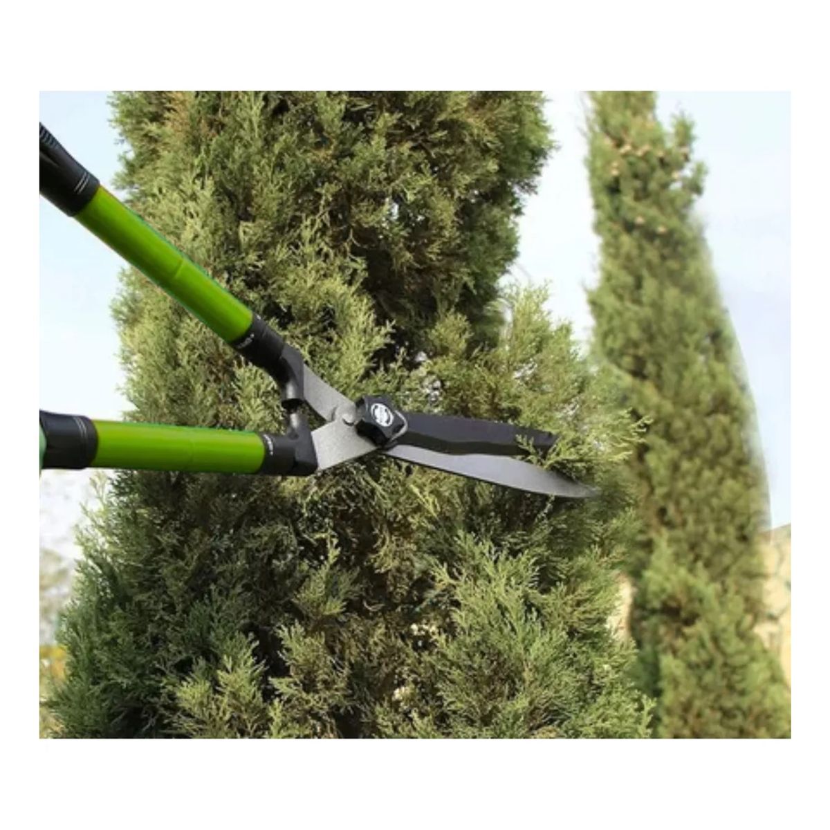 GENERICO - Tijera De Podar Para Jardín Grande Verde