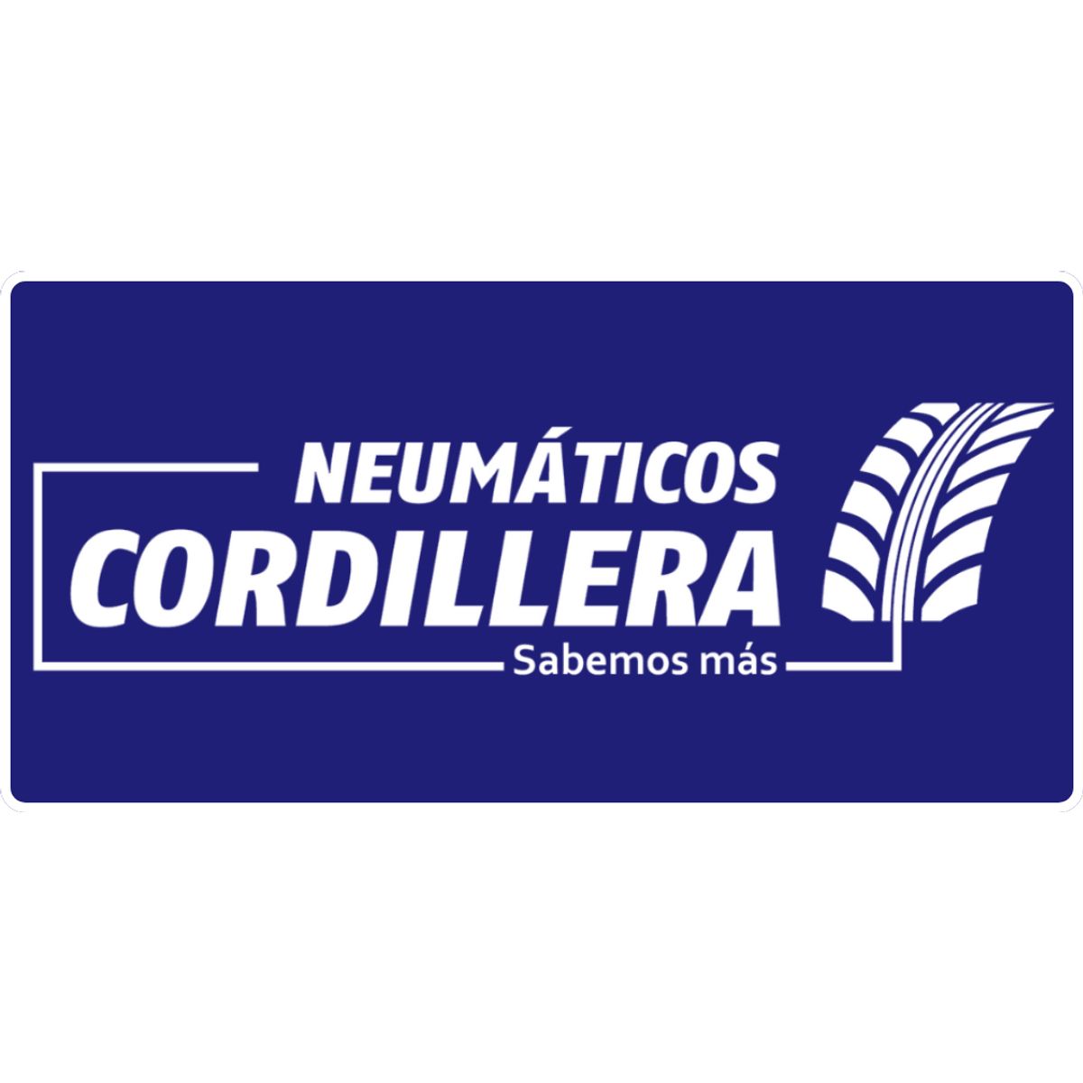 DUNLOP - Neumático 195/50 R16 Dunlop Direzza Dz102   V-84