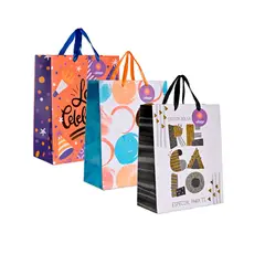 VILLAGE - Bolsa de Regalo Toda Ocasión L