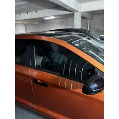 GENERICO - Bota Aguas de Acrílico 2mm plano Negro Brillante a Medida auto Chery fullwin 2013 a 2019