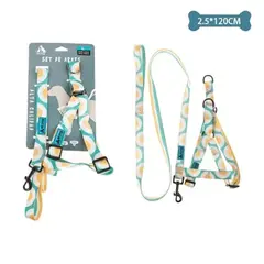 GENERICO - Set de arnés y correa de nylon 25mm x120cm