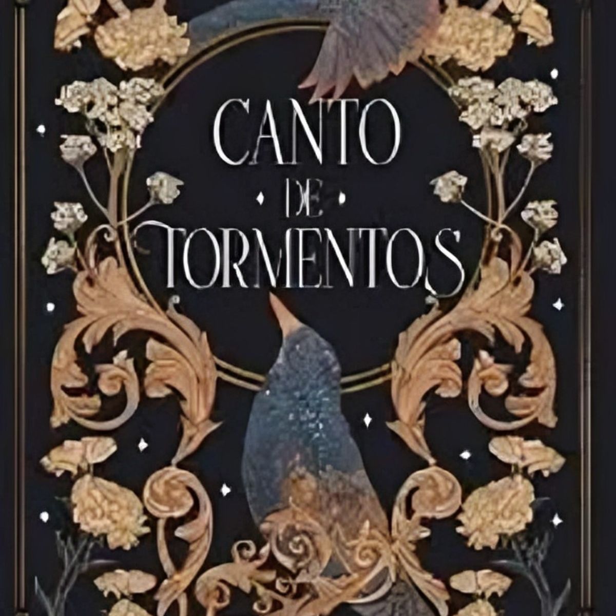 TOP10BOOKS - LIBRO Canto De Tormentos - Braidee Otto