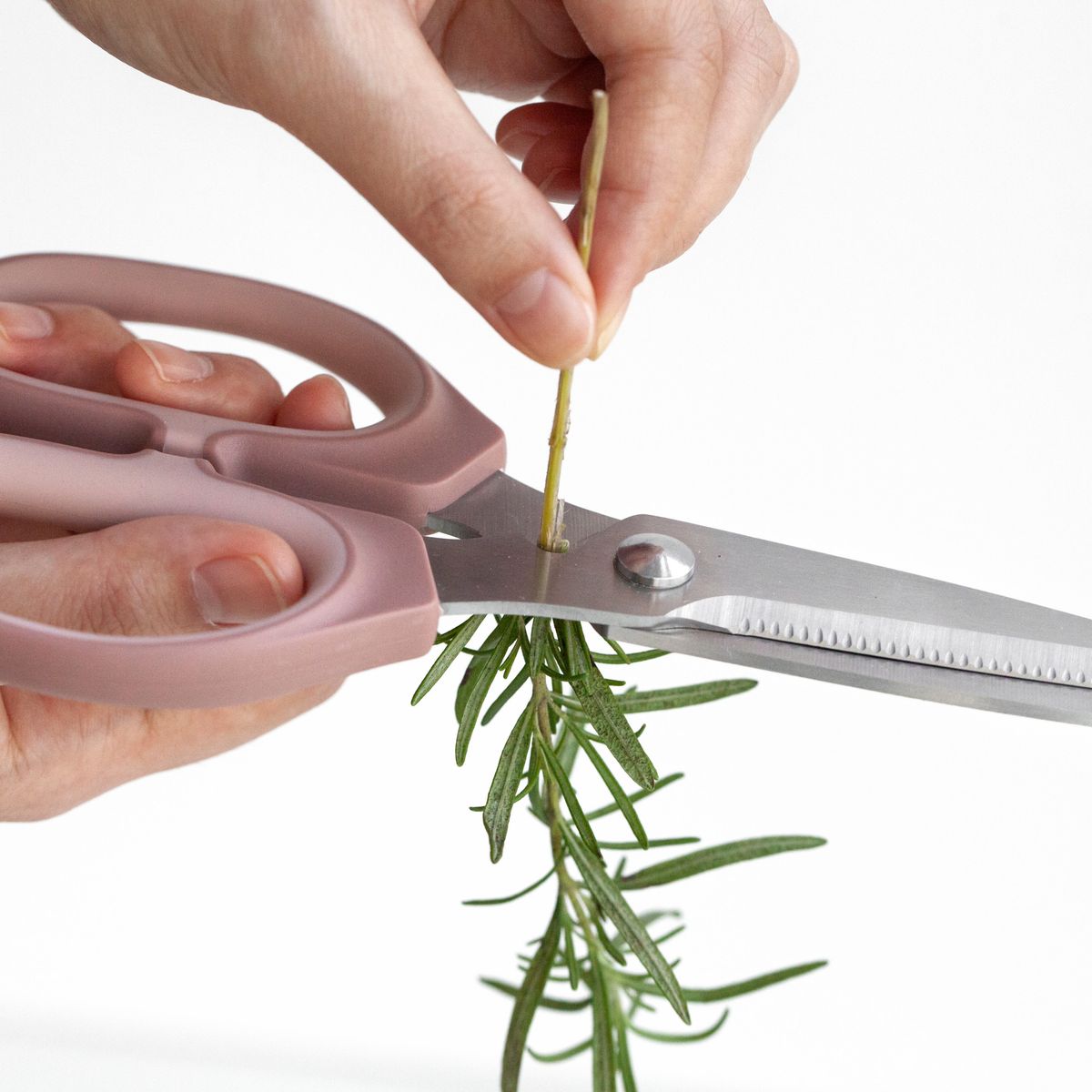 HOME LOGICS - Tijeras Multiuso De Cocina Para Uso Diario Beige Home Logics