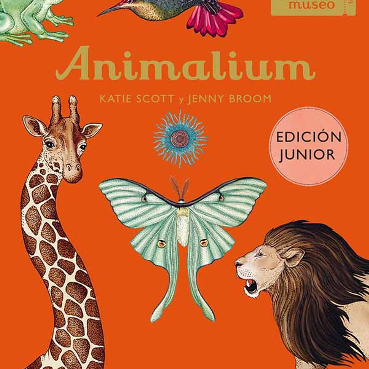 ANTARTICA LIBROS - Animalium Junior
