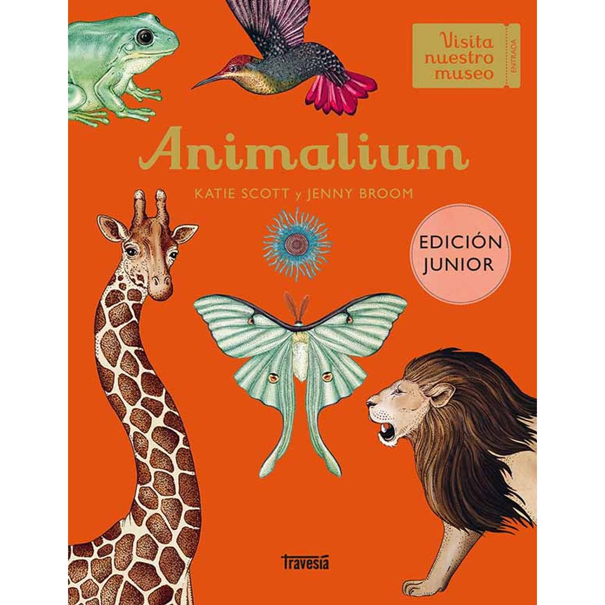 ANTARTICA LIBROS - Animalium Junior
