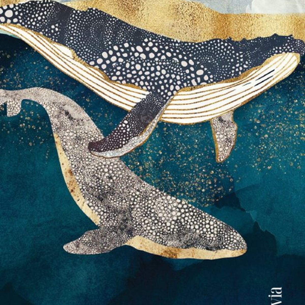 ANTARTICA LIBROS - Nonu