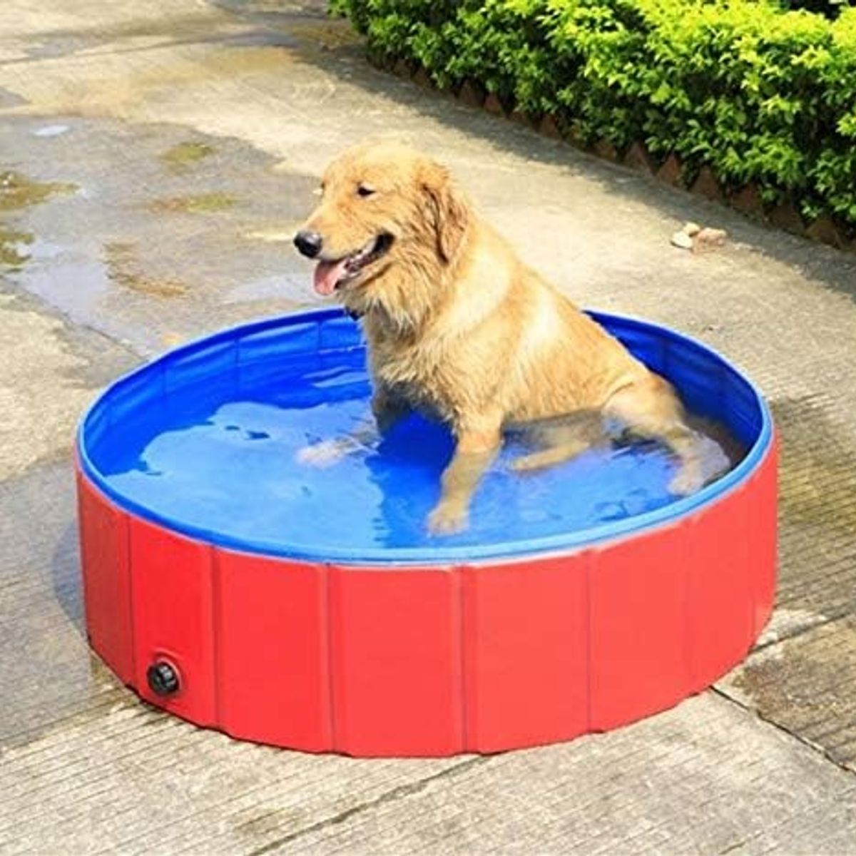 GENERICO - Piscina plegable para mascotas