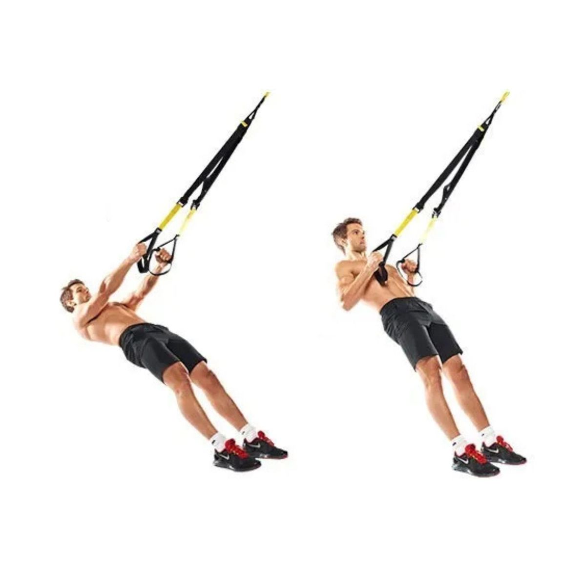 MOVI - Banda de Entrenamiento en Suspensión TRX para Fitness y Gimnasio en Casa