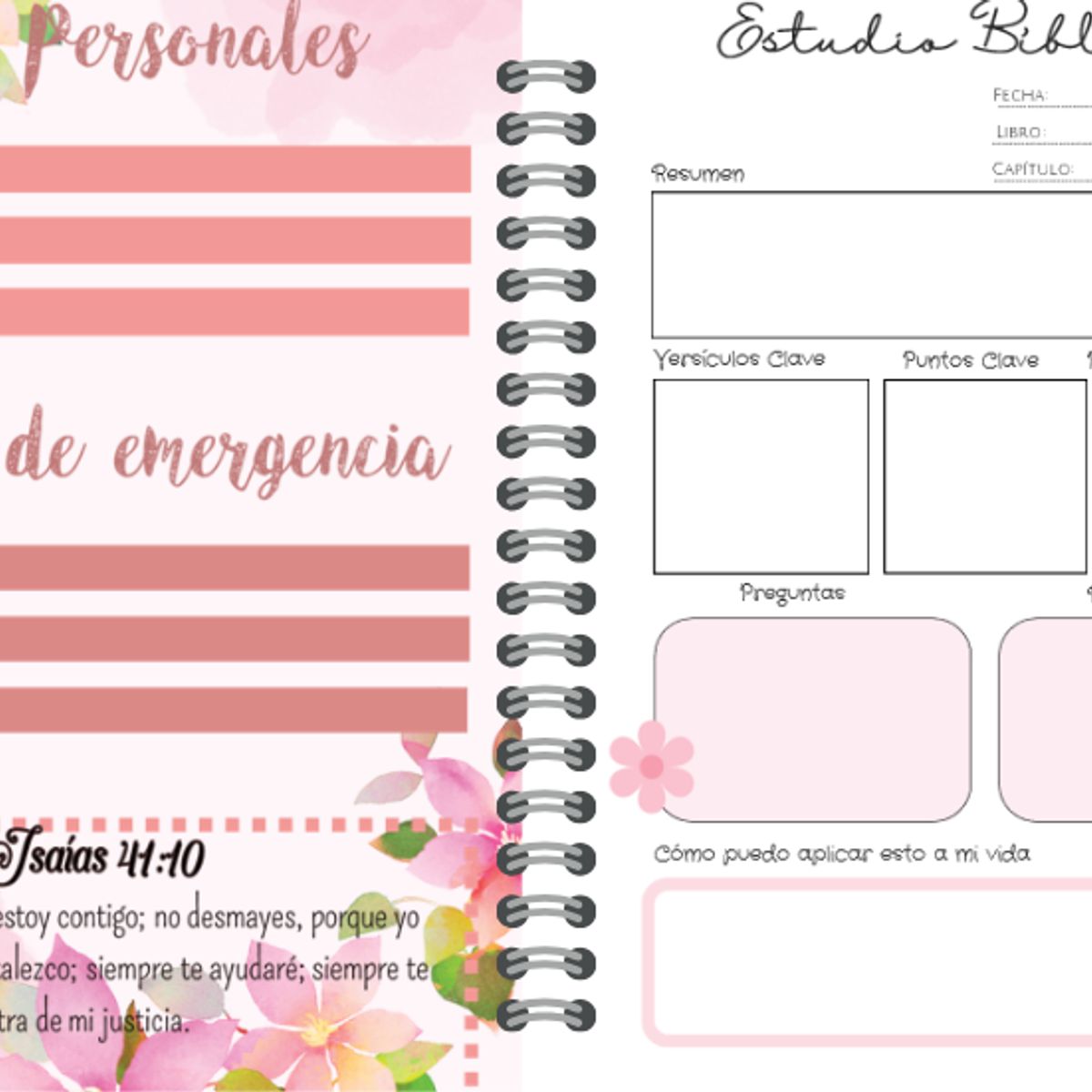 ELAB PROPIA - Diario de oración Cristiano