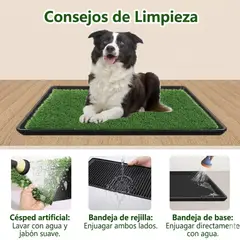 MOVI - Baño para mascotas Pet Potty