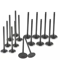 KUANGYE - Valvulas Motor Compatible Con Chevrolet Aveo 1.4 2004-2016 Kit X16