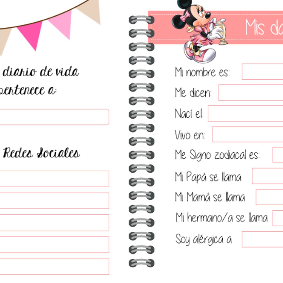 ELAB PROPIA - Diario de vida, diseño Minnie