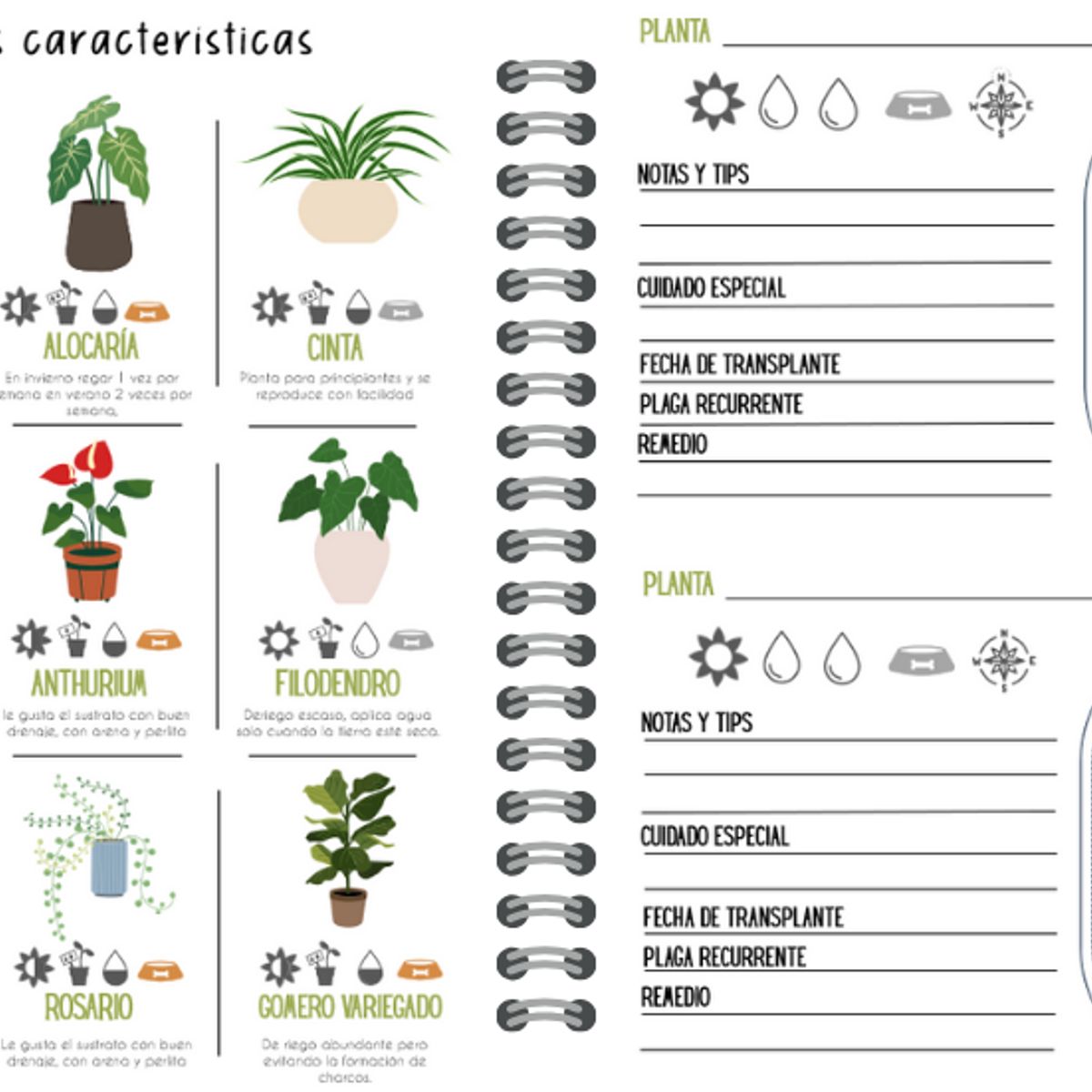 ELAB PROPIA - Journal para Plantas