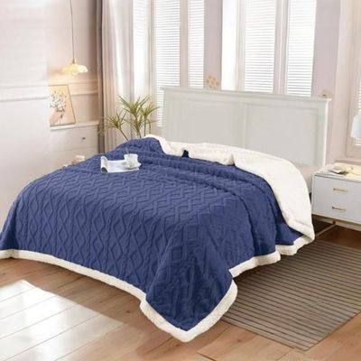 Imagen 2 del producto Frazada Con Chiporro TF De Invierno Plaza y Media