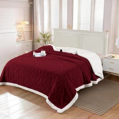 Imagen 2 del producto Frazada Con Chiporro TF De Invierno Plaza y Media