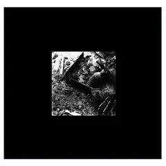 GENERICO - Luna In Caelo - Aquellos Desgarradores Gritos Llamados Silencio - Vinilo