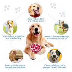 VIDA BUENAS - Set 22 Juguetes Para Mascotas, Pelota De Cuerda, Disco Y Más