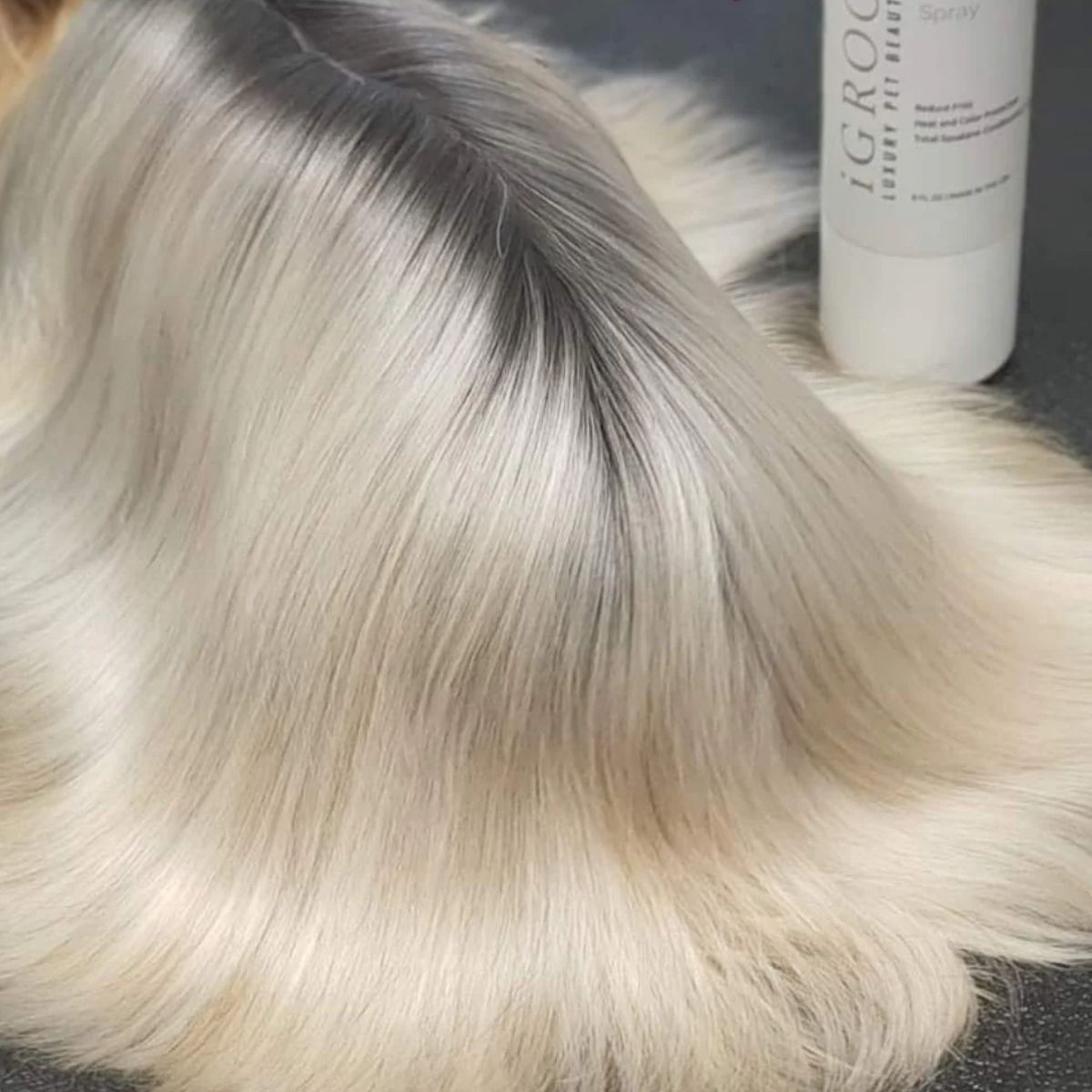 GENERICO - Spray Termoprotector Mascotas Igroom