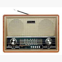 MLAB - Parlante 8733 Retro Grund Bluetooth Usb Fm Color Café Diseño Vintage