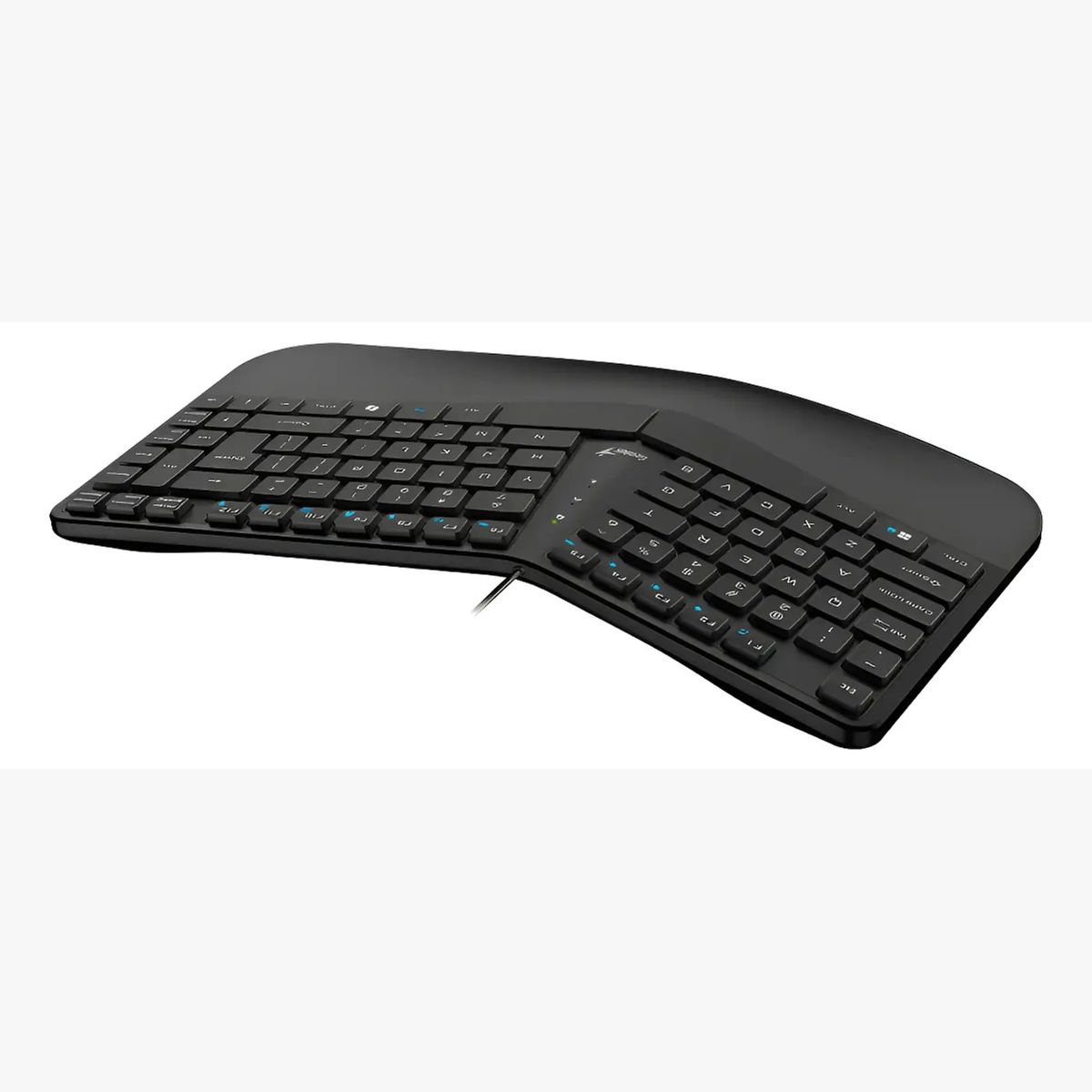 GENIUS - Teclado Genius Ergo Kb-700 Ctecla Copilot Usb Sp Negro Idioma Español Latinoamérica