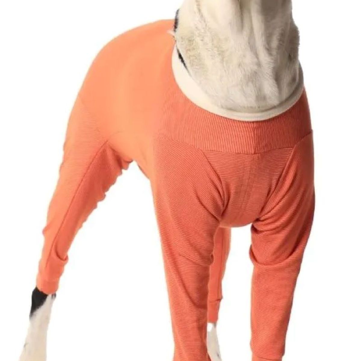 KIMBA - Body De Cobre Completo Post Quirúrgico Talla 7 (13 A 17 kg)