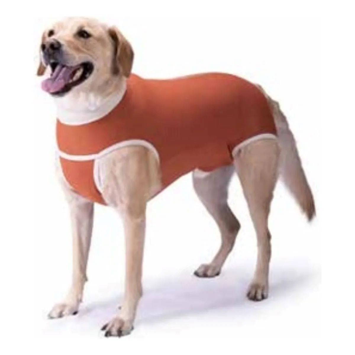 KIMBA - Body Cobre Kimba Castración Talla 2 (3.5 A 4.5kg)