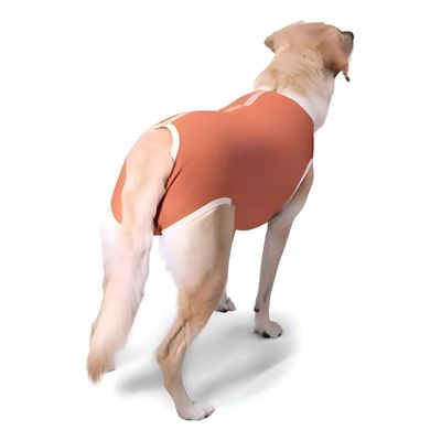 Imagen 2 del producto Body Cobre Castración Talla 1 (2.5 A 3.5kg)