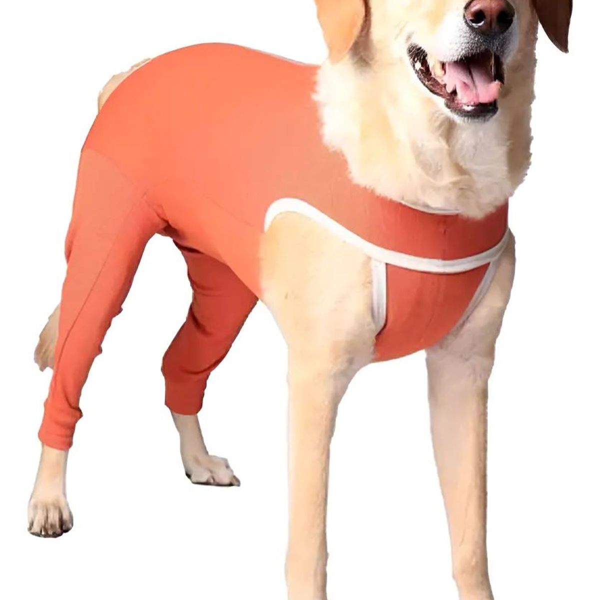 KIMBA - Body Cobre Kimba Posterior Post-operatorio T15 (50 A 55 Kg)