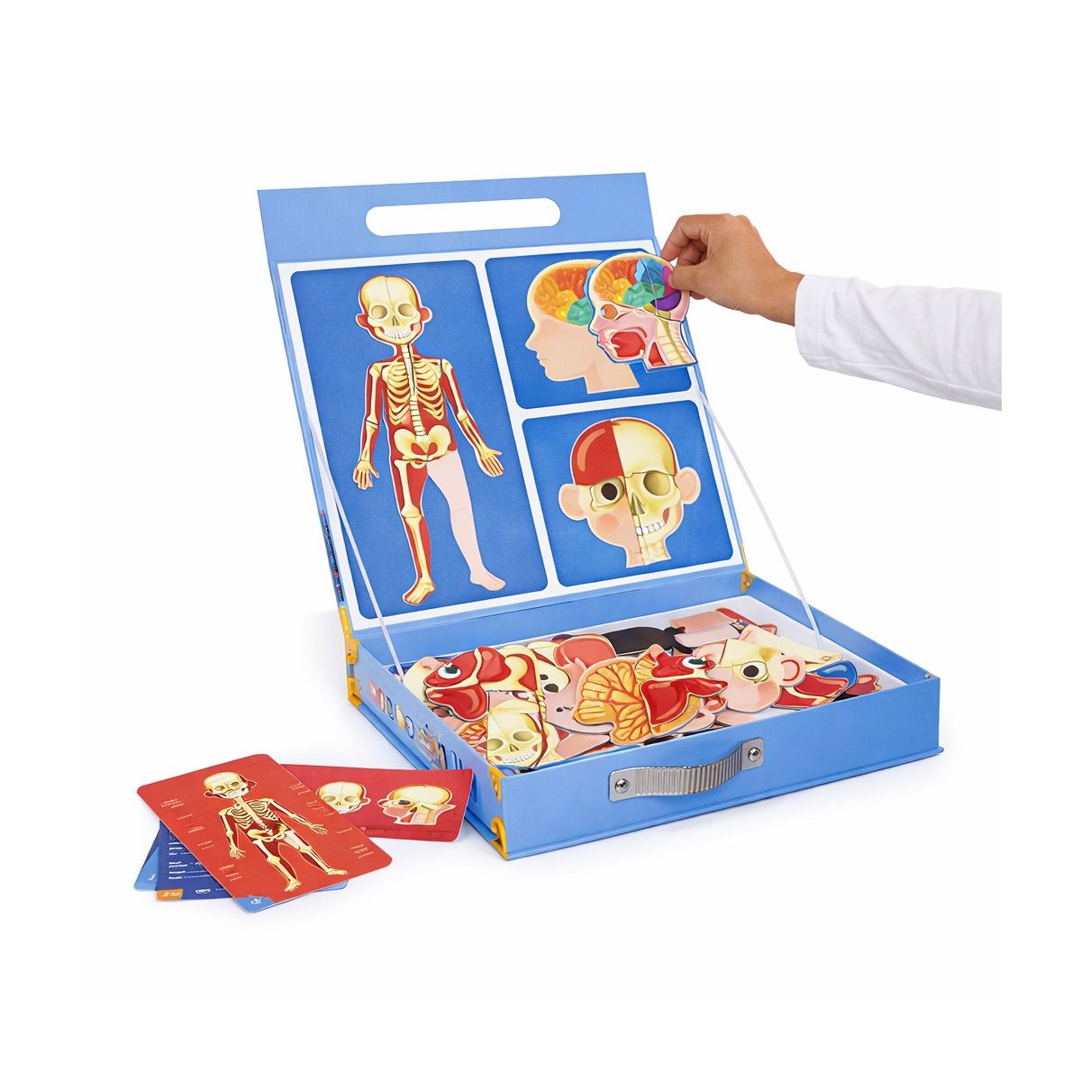 EUREKAKIDS - Maletín Magnético Cuerpo Humano Eureka Kids