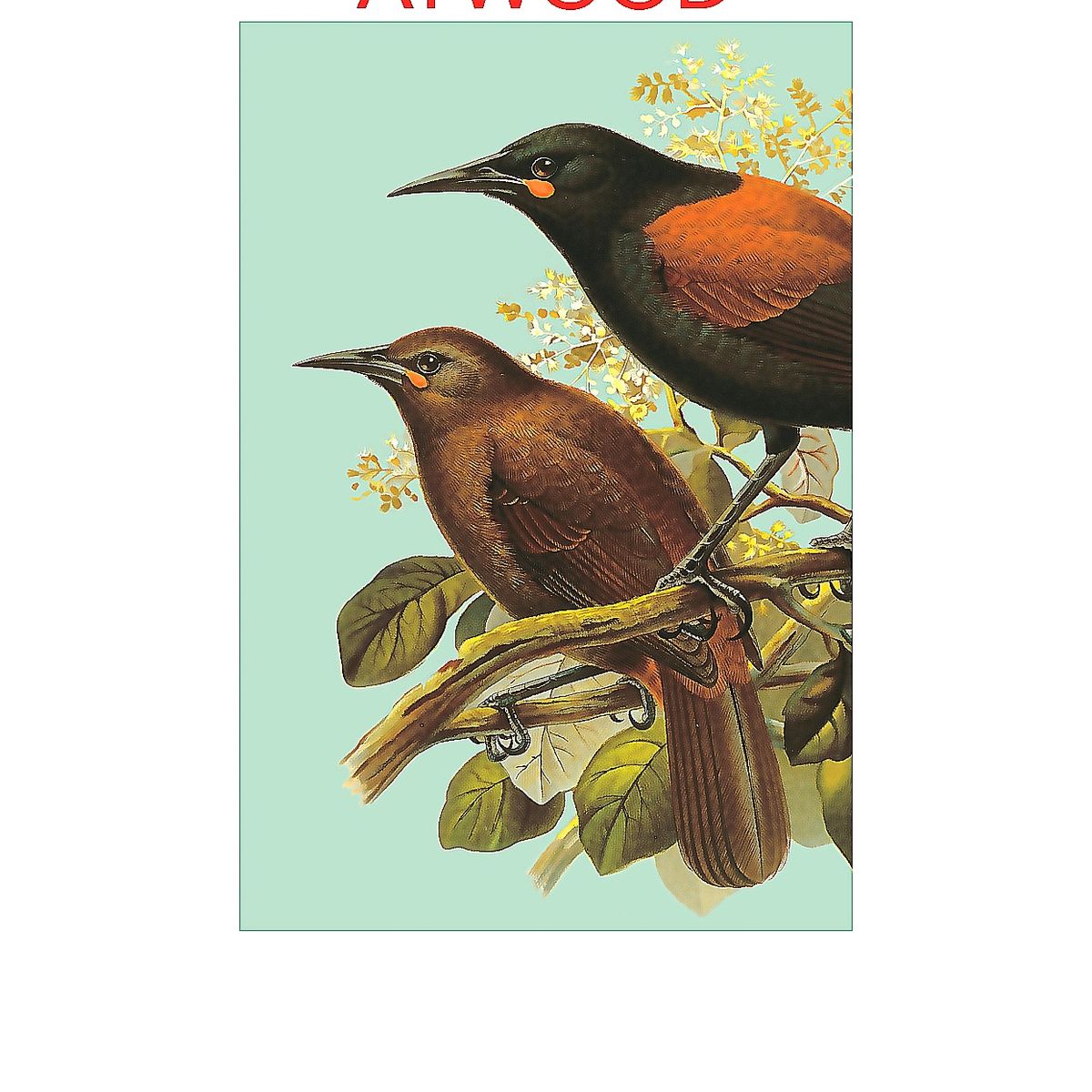 SALAMANDRA - Libro Sinceramente - Margaret Atwood