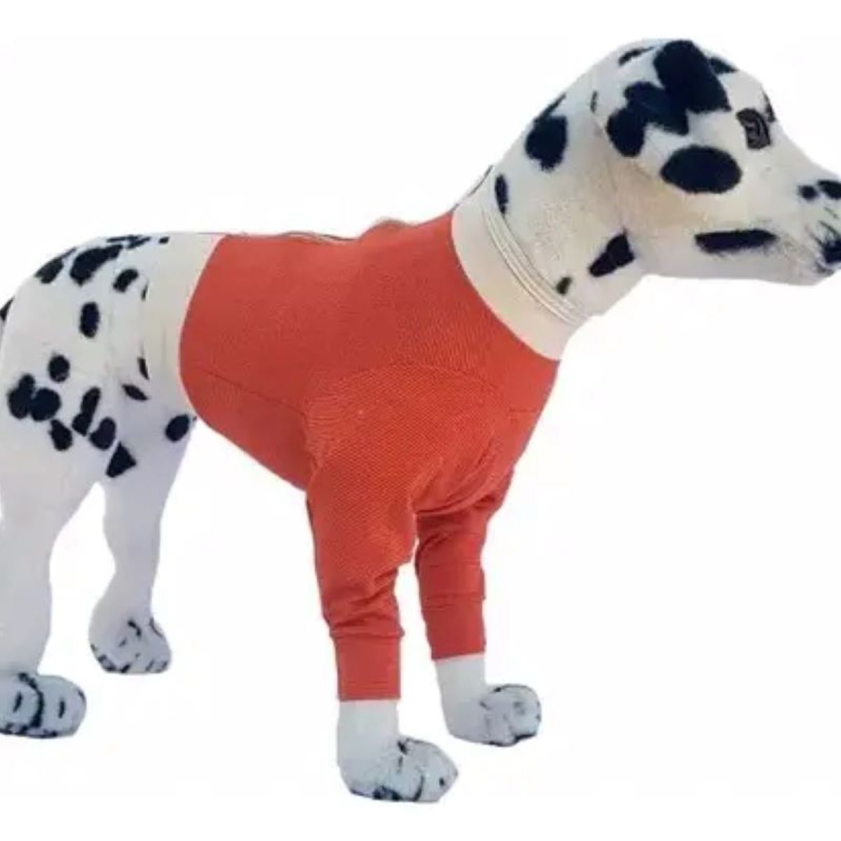 KIMBA - Polerón Cobre Protector Miembros Anteriores - Talla 8