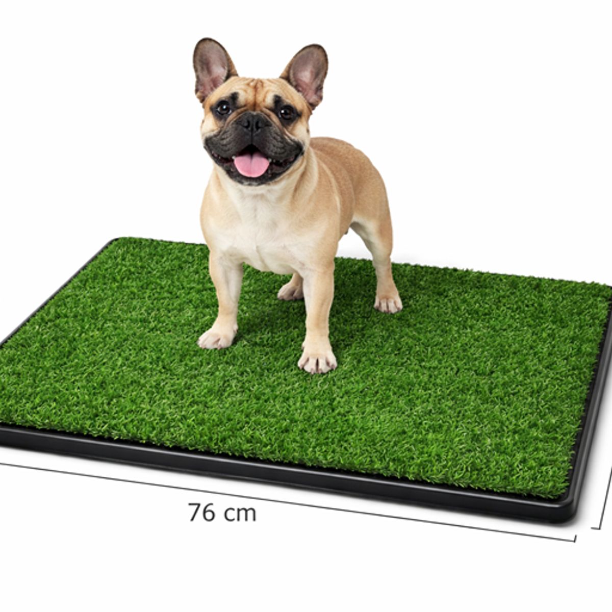 MOVI - Baño para Mascotas XXL Pet Potty